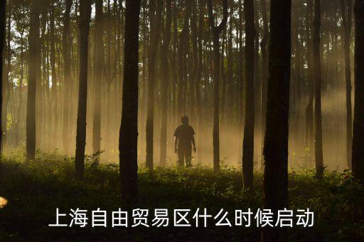 上海自貿(mào)區(qū)什么時候開放，上海自由貿(mào)易區(qū)什么時候啟動