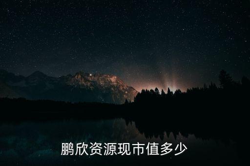 鵬欣資源是什么公司，鵬欣資源現(xiàn)市值多少