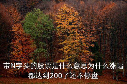n派思是什么股票，帶N字頭的股票是什么意思為什么漲幅都達(dá)到200了還不停盤