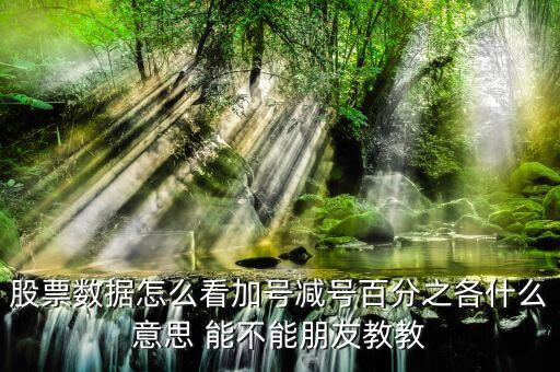 證券如何看漲停加減什么意思，漲停時(shí)買一后邊的數(shù)加減是什么意思