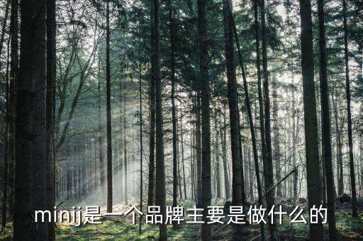 曹山石是干什么的，minij是一個(gè)品牌主要是做什么的