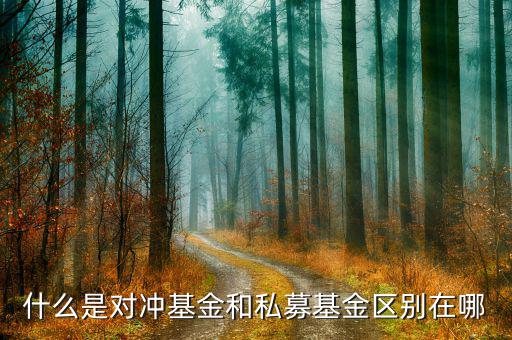 對(duì)沖基金是什么，對(duì)沖基金操作手法是什么有哪些原理