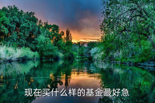 現(xiàn)在買什么基金最好，現(xiàn)在買哪個基金好