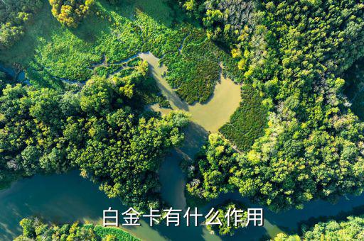 興業(yè)白金卡有什么好處，白金卡有什么作用
