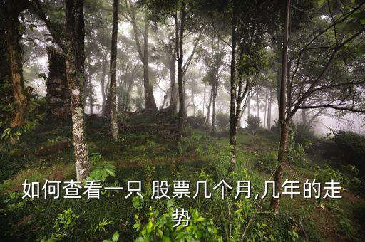 如何查看一只 股票幾個(gè)月,幾年的走勢