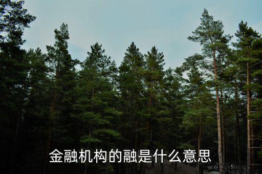 金融機構(gòu)的融是什么意思，融資中的融是什么意思