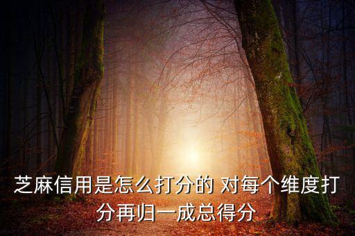 芝麻信用評(píng)分依據(jù)是什么，芝麻信用以什么依據(jù)評(píng)分