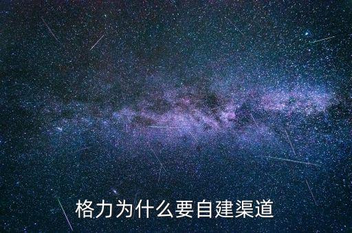 格力為什么自建渠道，格力與國美電器將來的合作的可能性如何請說明原因