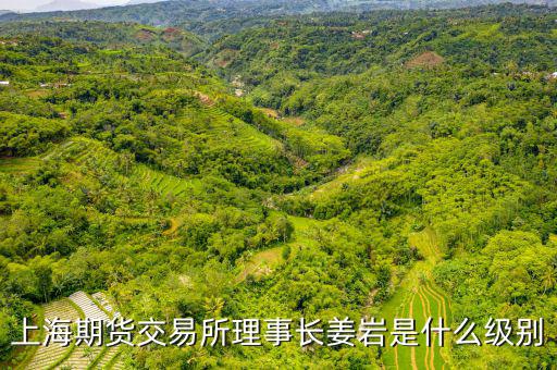 上交所理事長(zhǎng)什么級(jí)別，上海期貨交易所理事長(zhǎng)姜巖是什么級(jí)別