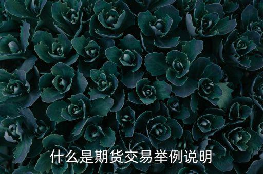 期權(quán)期貨是什么意思，期權(quán)與期貨是什么意思