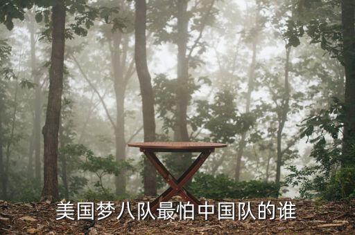 雷思海美國最怕中國什么，美國夢八隊最怕中國隊的誰
