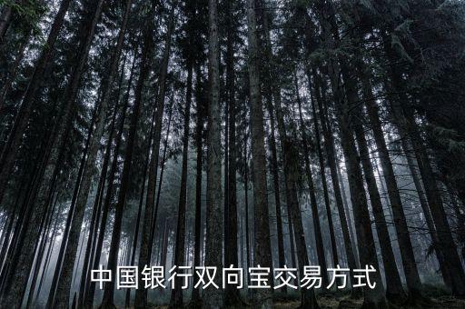 中國銀行雙向?qū)毷鞘裁?，中國銀行雙向?qū)殬I(yè)務(wù)詳細介紹