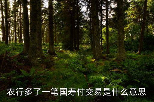 國壽交易是什么，農(nóng)行多了一筆國壽付交易是什么意思