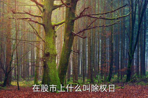 什么叫股票除權(quán)日，什么是股票除權(quán)息的登記日