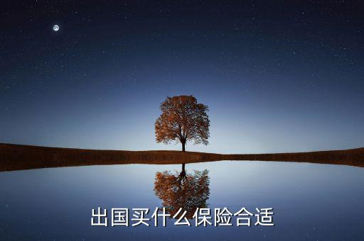 什么保險長期在國外有用，什么保險有去國外玩的保障啊