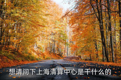 上海清算所做什么，想請問下上海清算中心是干什么的