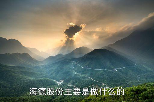 德力股份是干什么的，德國(guó)力斯集團(tuán)以前主要是做什么的啊
