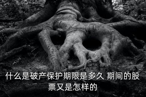 什么是破產保護期限是多久 期間的股票又是怎樣的