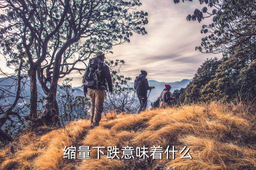 股票縮量下跌意味著什么，股票縮量下跌代表什么意思