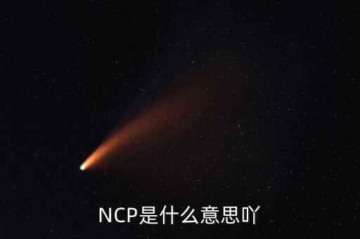 可比企業(yè)ncp是什么簡稱，NCP是什么意思吖