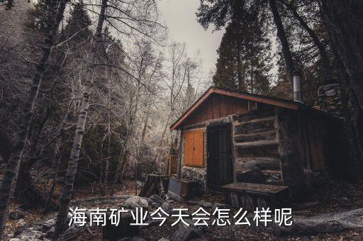 海南礦業(yè)在什么時(shí)候上市，說(shuō)說(shuō)海南礦業(yè)今天還會(huì)繼續(xù)大漲嗎