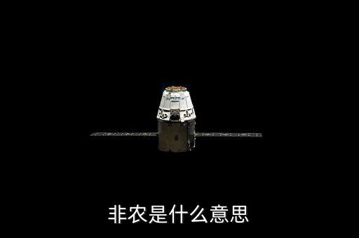 非農是什么意思