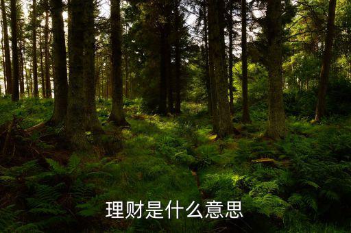 理財(cái)市場(chǎng)是什么，理財(cái)是什么意思