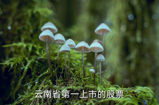 沃森生物是什么股，業(yè)績(jī)巨虧的沃森生物為什么股價(jià)那么高