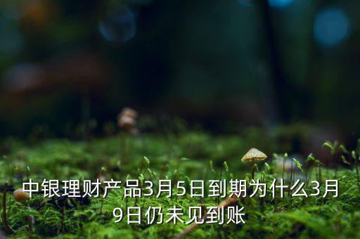 中銀理財產(chǎn)品3月5日到期為什么3月9日仍未見到賬