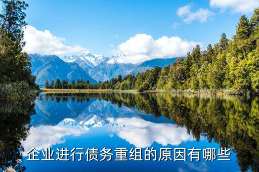 上市公司為什么要債務(wù)重組，企業(yè)為什么要進行債務(wù)重組