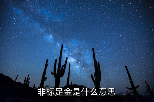 什么是金融非標產品，什么叫非標融資