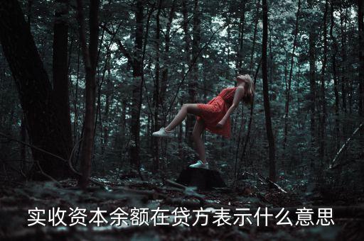 什么是資本余額，什么是資本性資金誰知道請(qǐng)告訴我謝謝