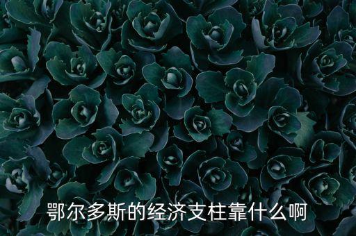 為什么鄂爾多斯經(jīng)濟發(fā)展，鄂爾多斯市是什么原因讓其發(fā)展如此迅猛