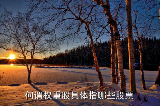 什么叫權重股，權重股與小盤股的區(qū)別在那兒我想數下有多少權重股有多少小盤股