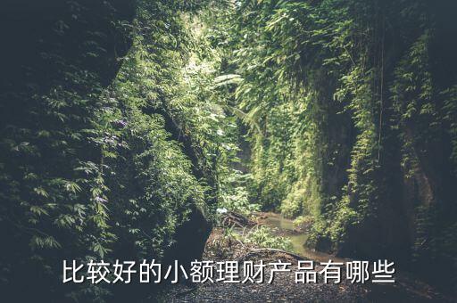 有什么小額理財(cái)產(chǎn)品，小額理財(cái)投資產(chǎn)品有哪些