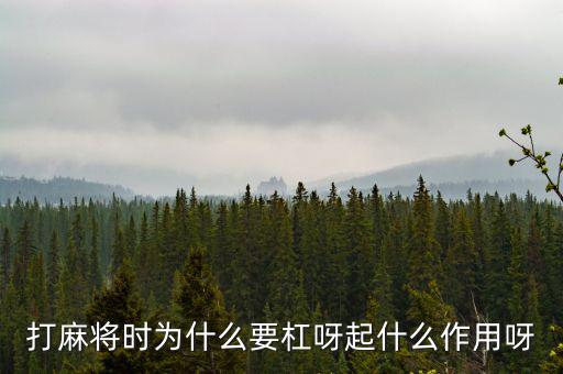 為什么要用杠桿，為什么有些杠桿要設(shè)計成費力的呢