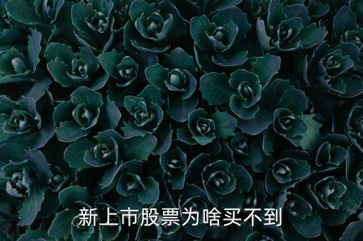 為什么新股我總買不到，新上市股票為啥買不到