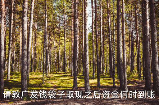 廣發(fā)錢袋子墊資什么時(shí)候，廣發(fā)錢袋子前天周末為什么沒(méi)有收益今天周一收益還沒(méi)出來(lái)