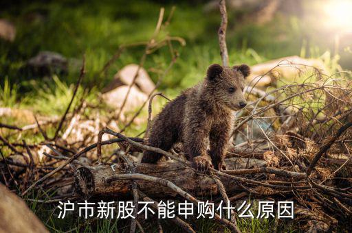 為什么滬市不能申購，我有滬股股票為什么不能申購