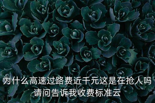 為什么高速過路費(fèi)近千元這是在搶人嗎請(qǐng)問告訴我收費(fèi)標(biāo)準(zhǔn)云