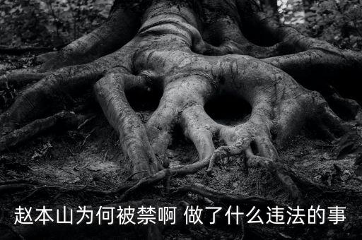 趙本山作品為什么禁播，趙本山的小品怎么也不讓播了