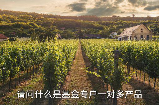 一對多專戶是什么意思，請問什么是基金專戶一對多產品