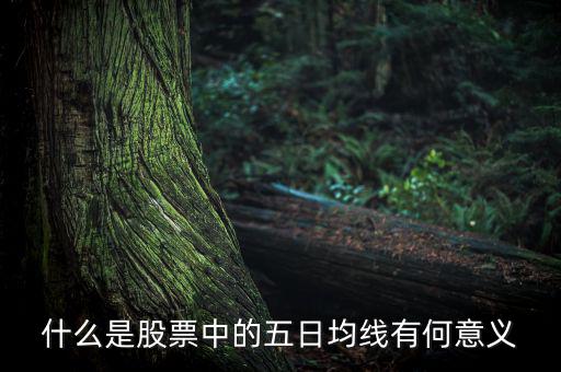 5日均線有什么用，什么是股票中的五日均線有何意義