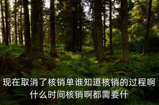 現(xiàn)在取消了核銷單誰(shuí)知道核銷的過程啊什么時(shí)間核銷啊都需要什