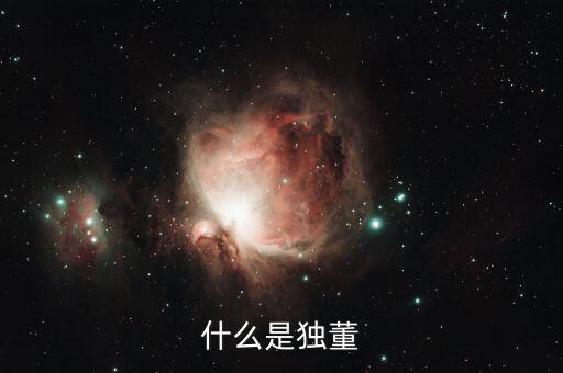 為什么董建華獨董，我國上市公司的獨立董事的來源主要有哪些