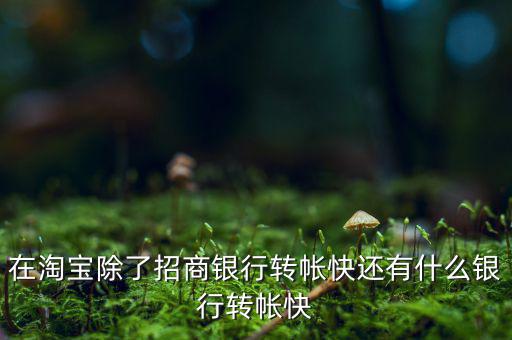 什么銀行網(wǎng)上轉(zhuǎn)賬最慢，在淘寶除了招商銀行轉(zhuǎn)帳快還有什么銀行轉(zhuǎn)帳快