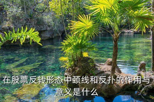 股票反撲是什么意思，在股票反轉(zhuǎn)形態(tài)中頸線(xiàn)和反撲的作用與意義是什么