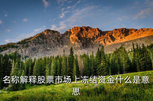 股票交易資金凍結(jié)什么意思，名稱解釋股票市場(chǎng)上凍結(jié)資金什么是意思