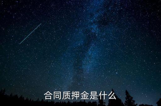 質(zhì)押金是什么，期貨中的質(zhì)押金是什么意思