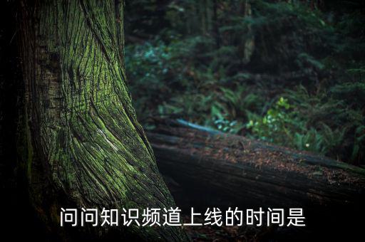 愛網(wǎng)貸平臺什么時(shí)候上線，問問知識頻道上線的時(shí)間是